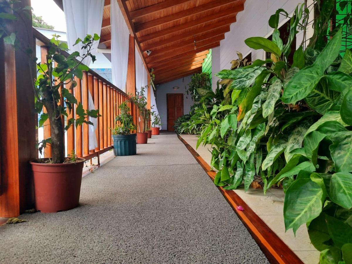 Hotel Bellavista By Verdes - 3*